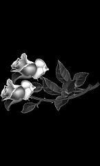 Цветы 18