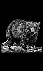 Животные Птицы 10